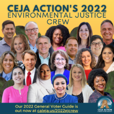 <strong>Press Release: 19 Candidates Earn Environmental Justice Support Ahead of November Election </strong>